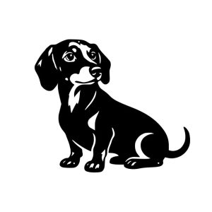 Dachshund Sitting