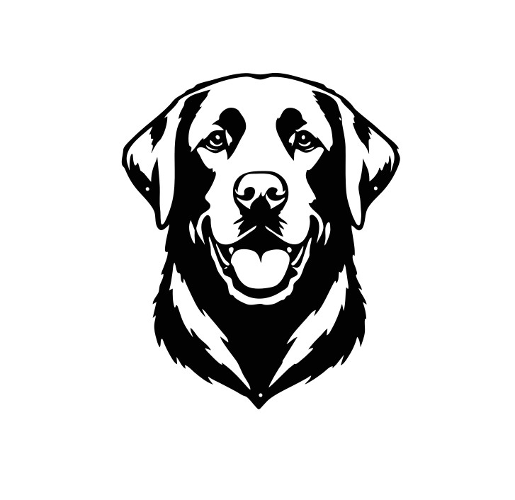 Labrador (Front)