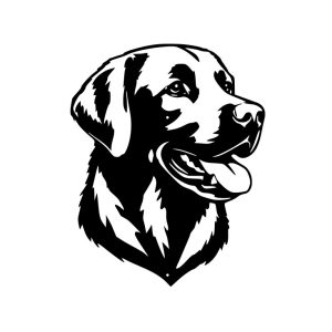 Labrador (Side)